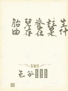 胎儿脊柱生理弯曲存在是什么意思