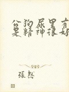 公狗尿里有血但是精神很好