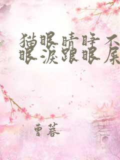 猫眼睛睁不开流眼泪跟眼屎