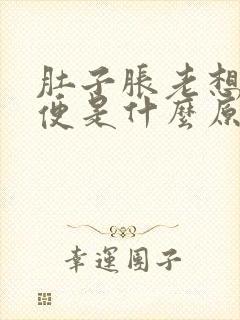 肚子胀老想上大便是什么原因