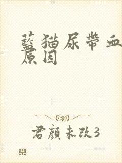 蓝猫尿带血什么原因