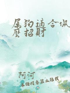 属狗适合佩戴什么招财