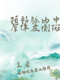 颈动脉内中膜增厚伴左侧斑块形成