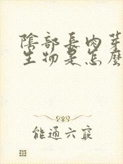 阴部长肉芽状赘生物是怎么回事