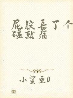 屁股长了个包一碰就痛