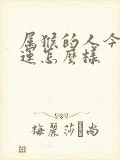 属猴的人今年财运怎么样