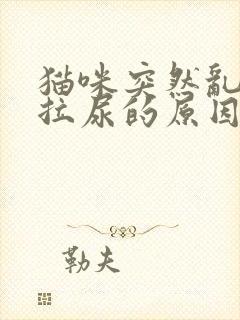 猫咪突然乱拉屎拉尿的原因