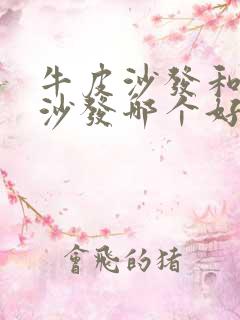 牛皮沙发和真皮沙发哪个好