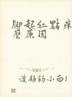 脚起红点痒是什么原因