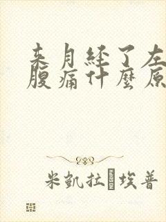 来月经了左边小腹痛什么原因女