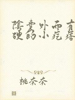 阴囊外面有个硬硬的小疙瘩是怎么回事