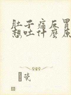 肚子痛反胃恶心想吐什么原因