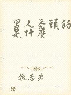 男人秃头的原因是什么