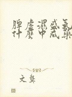 脾虚湿盛气虚吃什么中成药