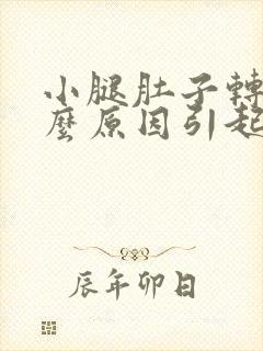 小腿肚子转筋什么原因引起的