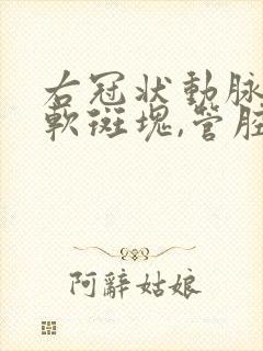 右冠状动脉近段软斑块,管腔轻度狭窄