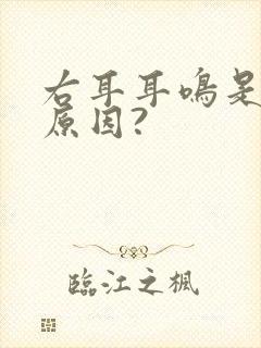 右耳耳鸣是什么原因?