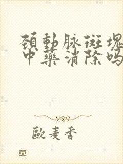 颈动脉斑块能吃中药消除吗