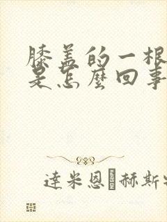 膝盖的一根筋疼是怎么回事