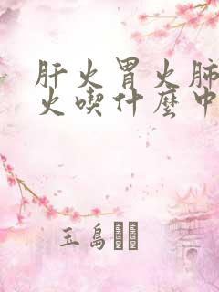 肝火胃火肺火心火吃什么中药好