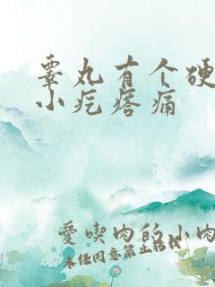 睾丸有个硬硬的小疙瘩痛