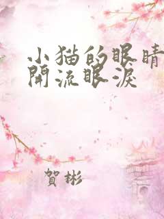 小猫的眼睛睁不开流眼泪