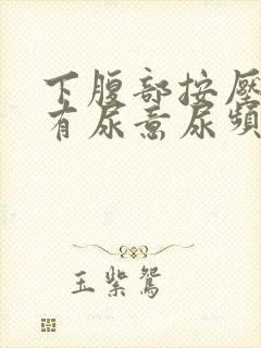 下腹部按压疼痛有尿意尿频