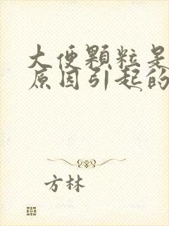 大便颗粒是什么原因引起的