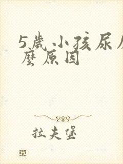 5岁小孩尿床什么原因