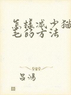 怎样减少猫咪掉毛的方法