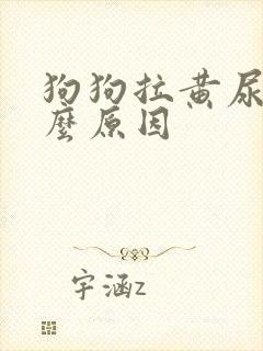 狗狗拉黄尿是什么原因