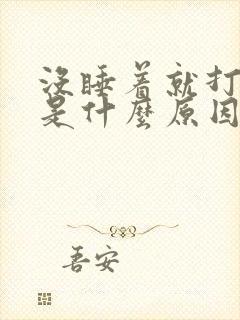 没睡着就打呼噜是什么原因