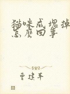 猫咪成块掉毛是怎么回事