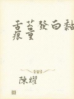 舌苔发白黏腻齿痕重