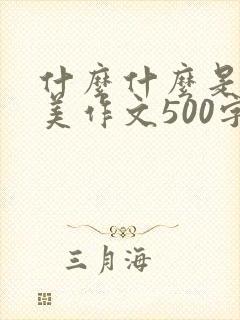 什么什么是一种美作文500字