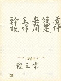 干玉米须煮水功效作用是什么