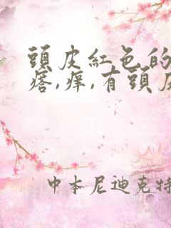 头皮红色的小疙瘩,痒,有头皮屑