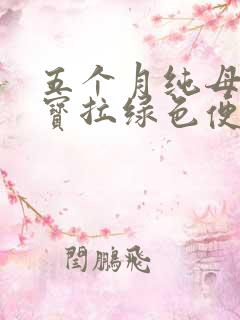 五个月纯母乳宝宝拉绿色便便