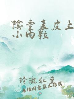 阴囊表皮上有个小肉粒