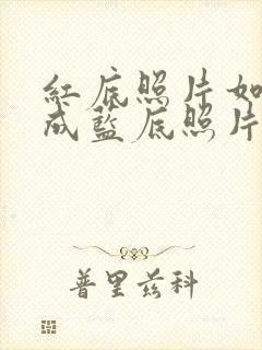 红底照片如何改成蓝底照片