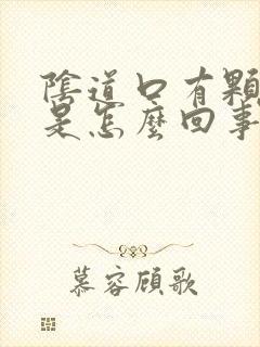 阴道口有颗粒状是怎么回事