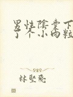 男性阴囊下面长了个小肉粒