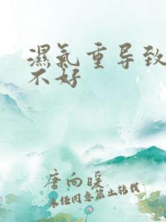 湿气重导致脾胃不好