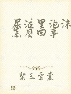 尿液里泡沫多是怎么回事