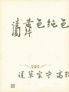 淡黄色纯色背景图片