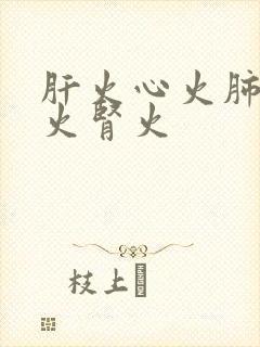 肝火心火肺火胃火肾火