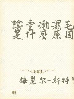 阴囊潮湿毛瘙痒是什么原因造成的