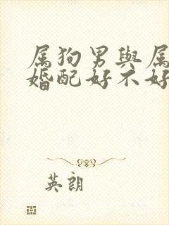 属狗男与属羊女婚配好不好