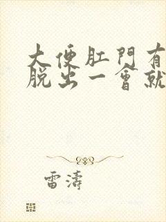 大便肛门有肉球脱出一会就回去了