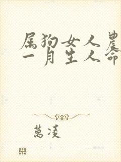 属狗女人农历十一月生人命运